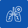 icon01